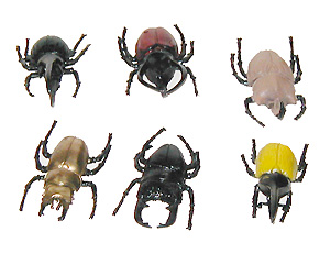 昆虫マスコット すくい用 50入りを問屋価格で格安通販 井ノ口商店